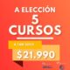 5 CURSOS A ELECCIÓN