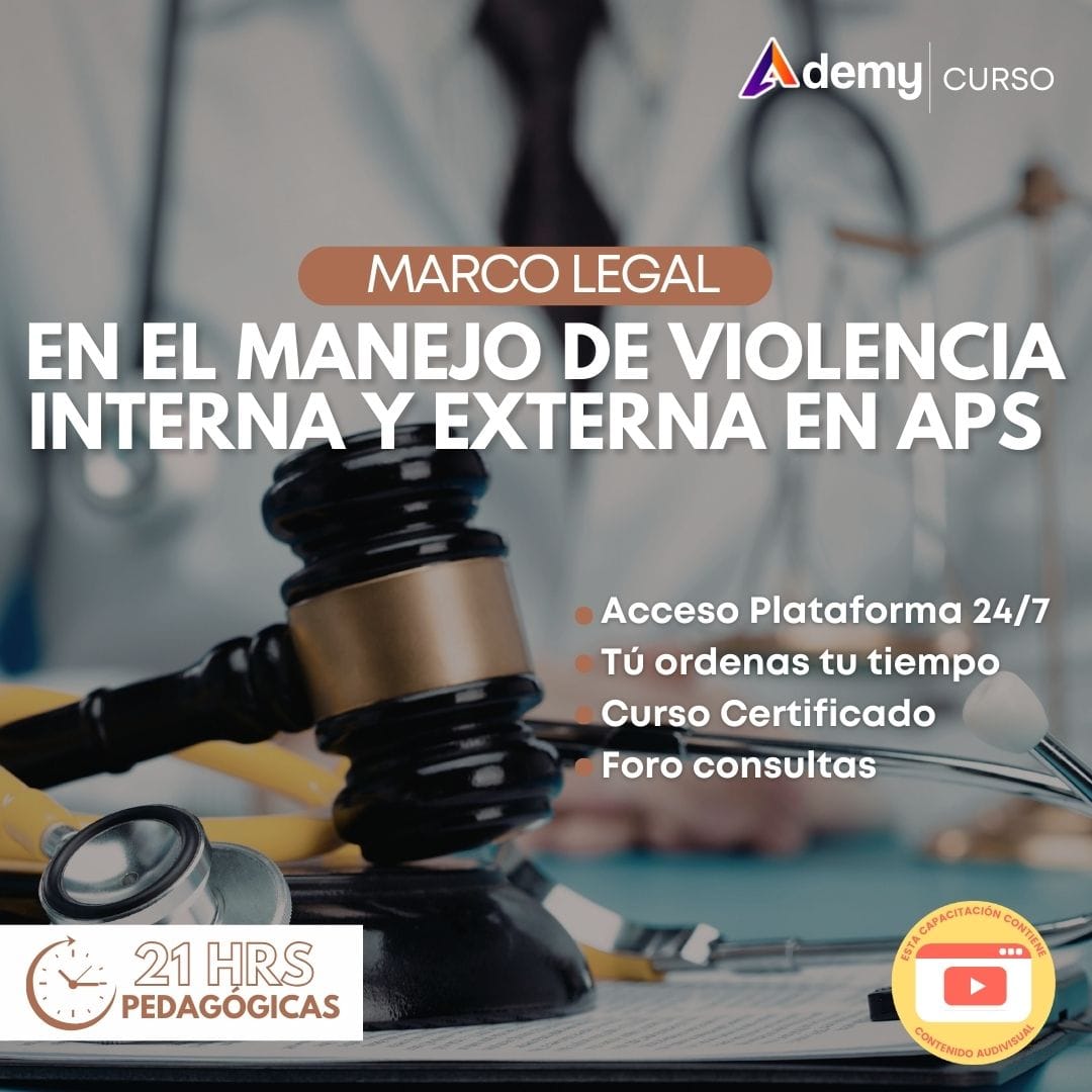 Marco legal en violencia APS